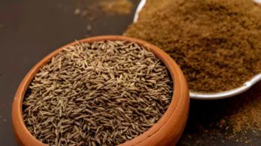 garnishing-instructions-image